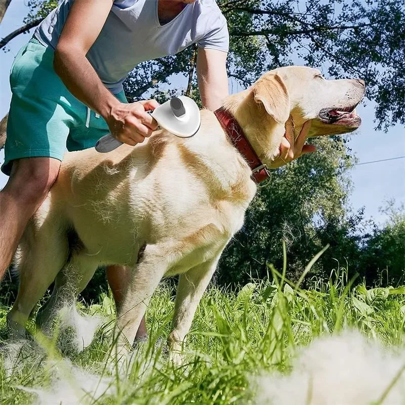 Brosse autonettoyante pour chien et chat