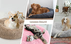 Lit lavable rond pour animaux de compagnie